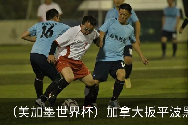 （美加墨世界杯）加拿大扳平波黑 获队史世界杯首分